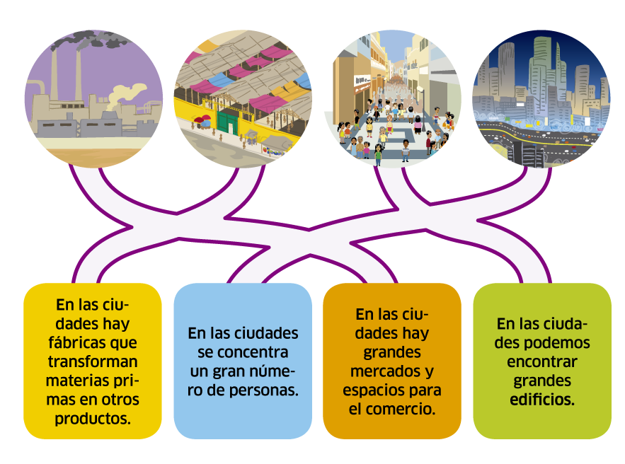 actividad